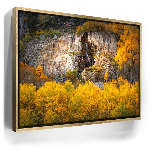 Featured image 7 for Water Fall