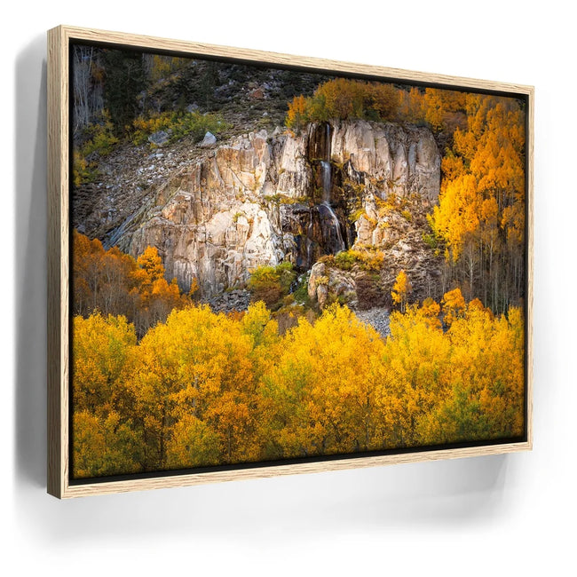 Featured image 9 for Water Fall