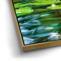 Thumbnail image 12 for Water Lily Harmony
