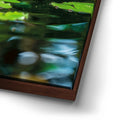 Thumbnail image 14 for Water Lily Harmony