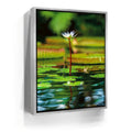 Featured image 8 for Water Lily Harmony