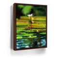 Featured image 10 for Water Lily Harmony
