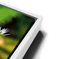 Thumbnail image 13 for Water Lily Reflections