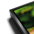 Thumbnail image 11 for Water Lily Serenity