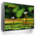 Featured image 8 for Water Lily Serenity