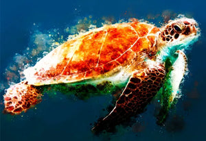 Watercolor Art