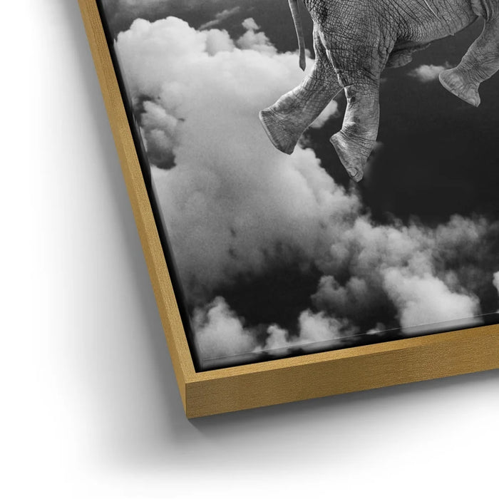 Featured image 12 for Weightless - Black & White