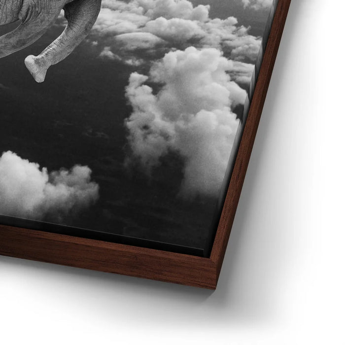 Featured image 14 for Weightless - Black & White