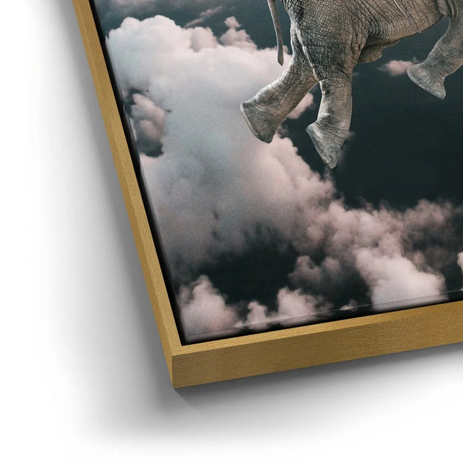 Featured image 11 for Weightless