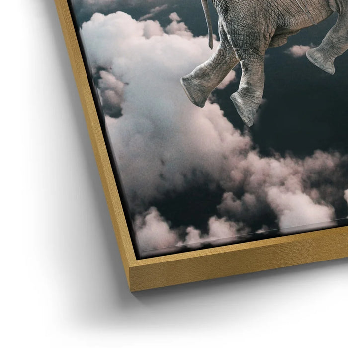 Featured image 12 for Weightless