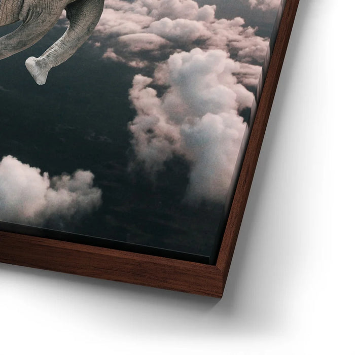 Featured image 14 for Weightless