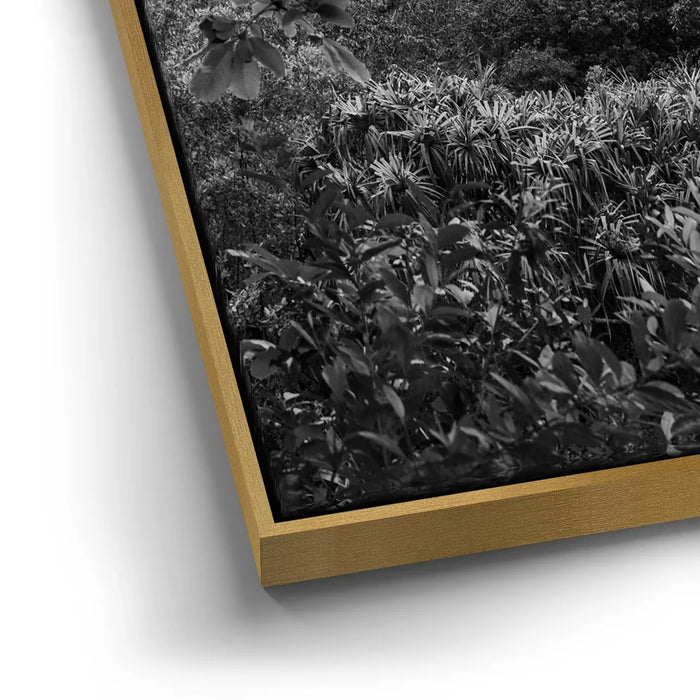 Featured image 12 for When The Leaves Touch The Mountains - Oahu, HI