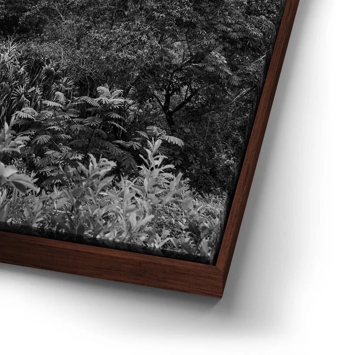 Featured image 14 for When The Leaves Touch The Mountains - Oahu, HI