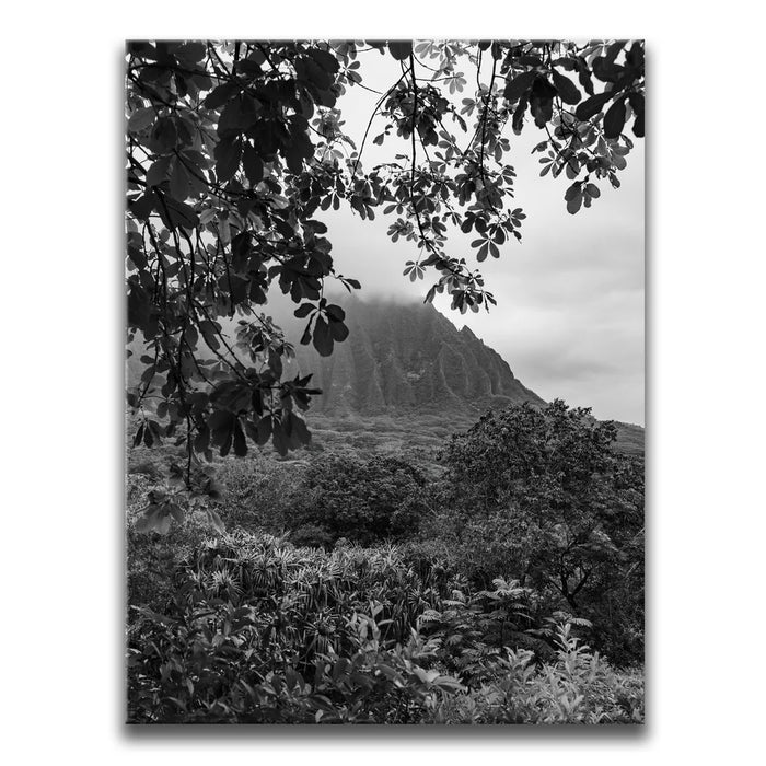 Featured image 1 for When The Leaves Touch The Mountains - Oahu, HI