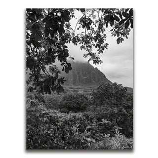 When The Leaves Touch The Mountains - Oahu, HI