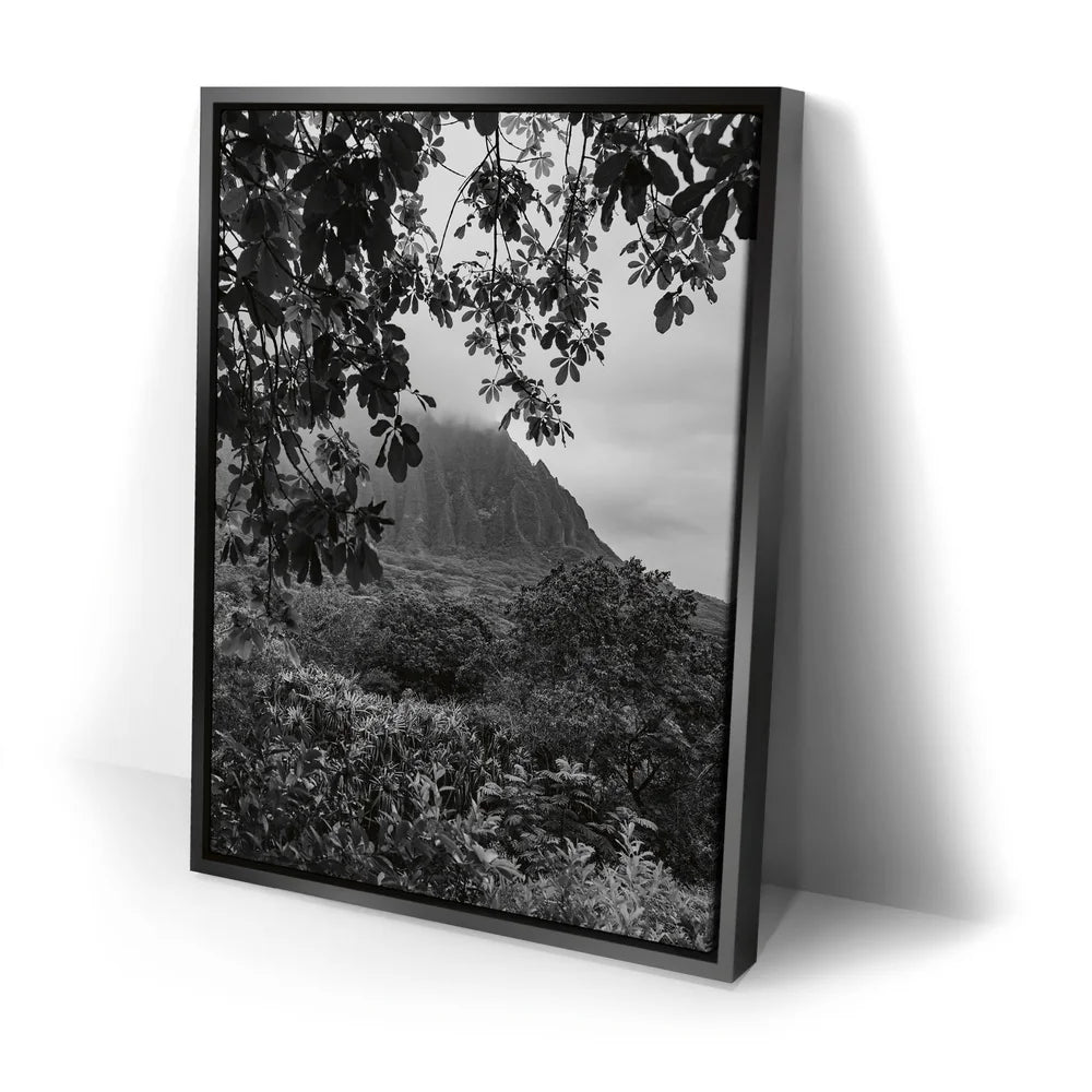 Featured image 2 for When The Leaves Touch The Mountains - Oahu, HI