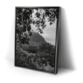 Thumbnail image 2 for When The Leaves Touch The Mountains - Oahu, HI