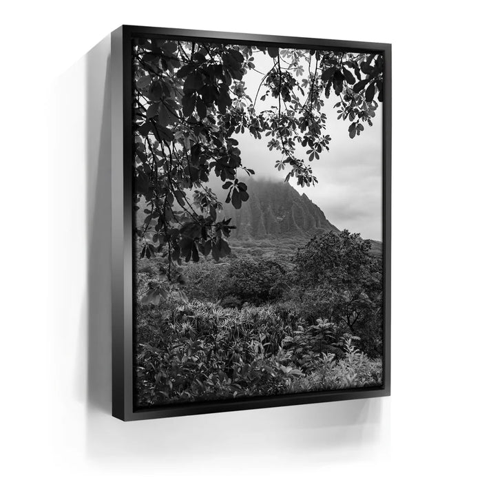 Featured image 5 for When The Leaves Touch The Mountains - Oahu, HI