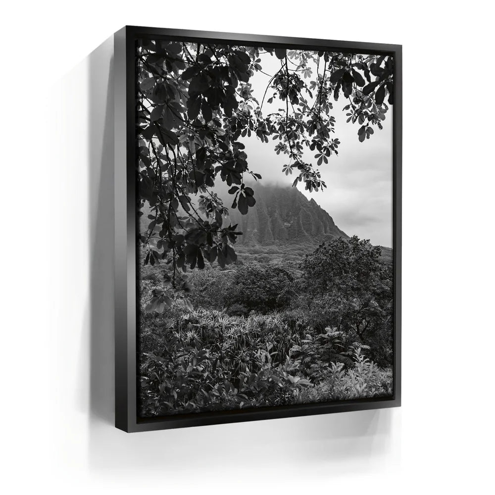 Featured image 5 for When The Leaves Touch The Mountains - Oahu, HI