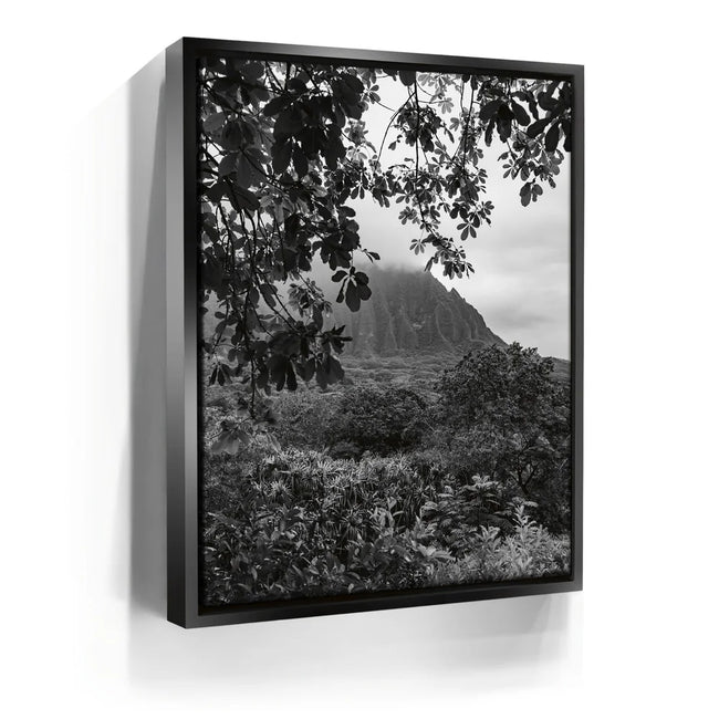 Featured image 5 for When The Leaves Touch The Mountains - Oahu, HI