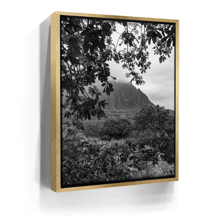 Featured image 7 for When The Leaves Touch The Mountains - Oahu, HI