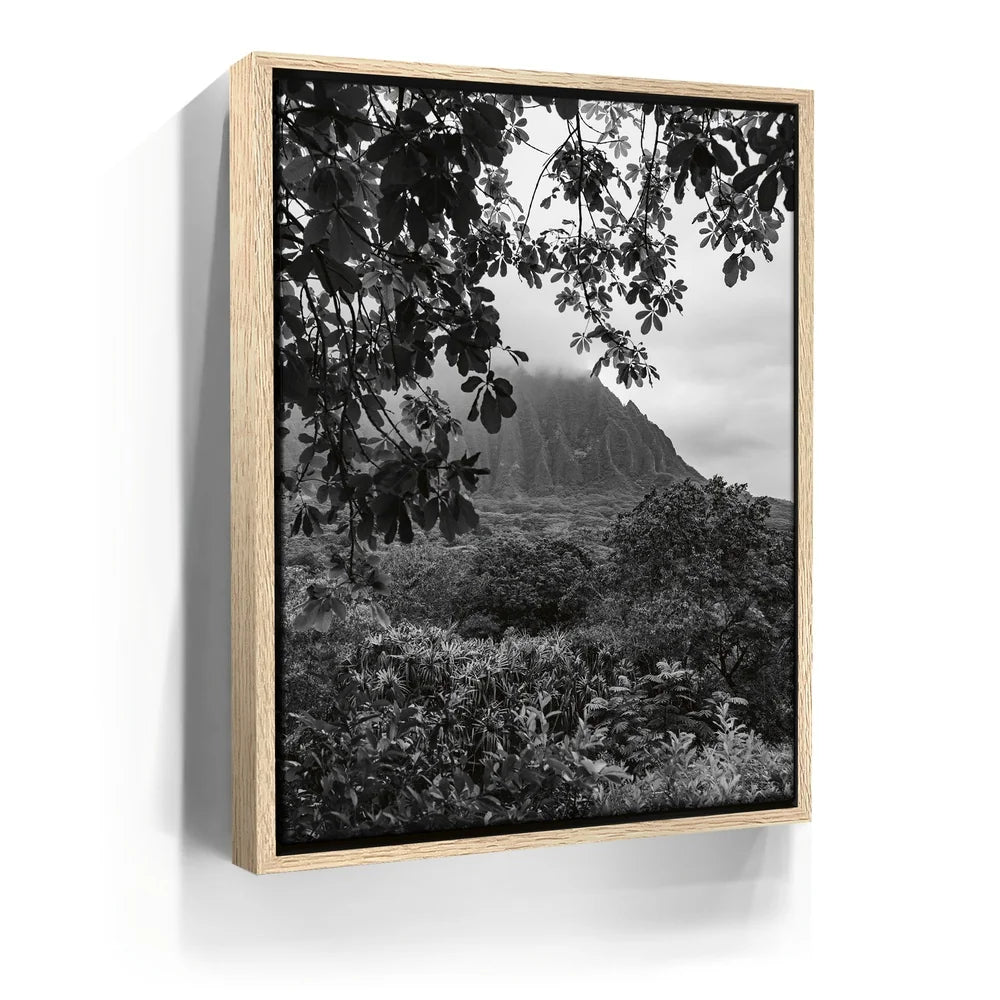 Featured image 9 for When The Leaves Touch The Mountains - Oahu, HI