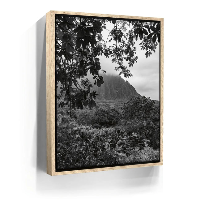 Featured image 9 for When The Leaves Touch The Mountains - Oahu, HI