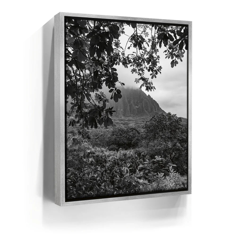Featured image 8 for When The Leaves Touch The Mountains - Oahu, HI
