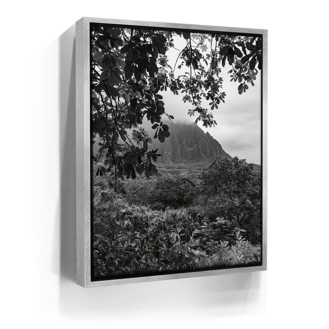 Featured image 8 for When The Leaves Touch The Mountains - Oahu, HI