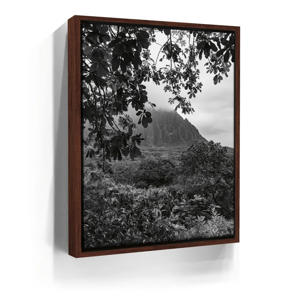 Featured image 10 for When The Leaves Touch The Mountains - Oahu, HI
