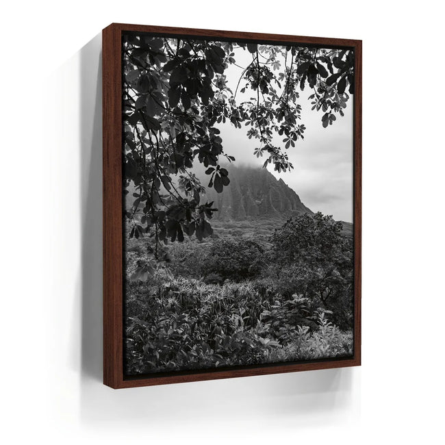 Featured image 10 for When The Leaves Touch The Mountains - Oahu, HI