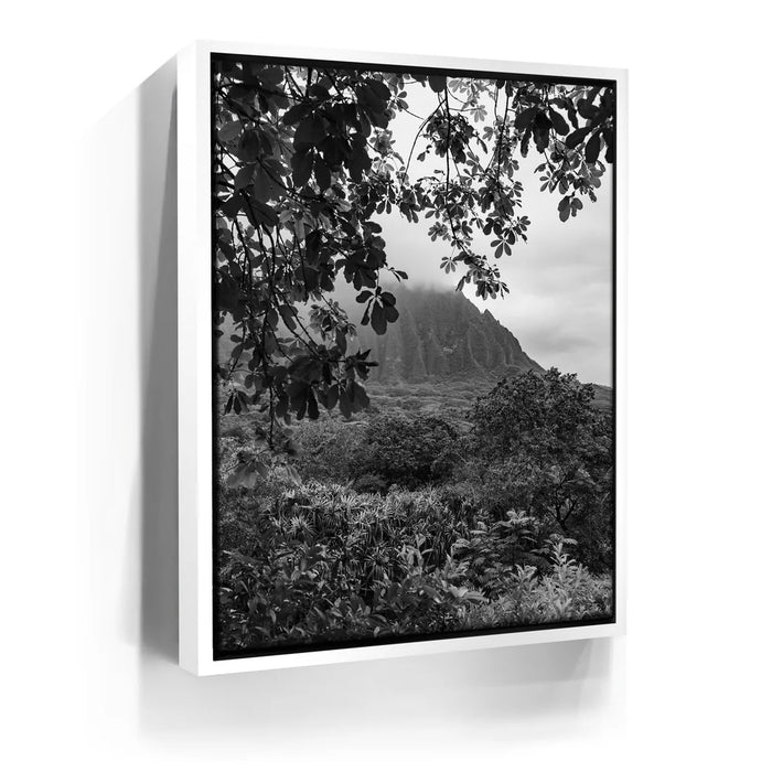 Featured image 6 for When The Leaves Touch The Mountains - Oahu, HI