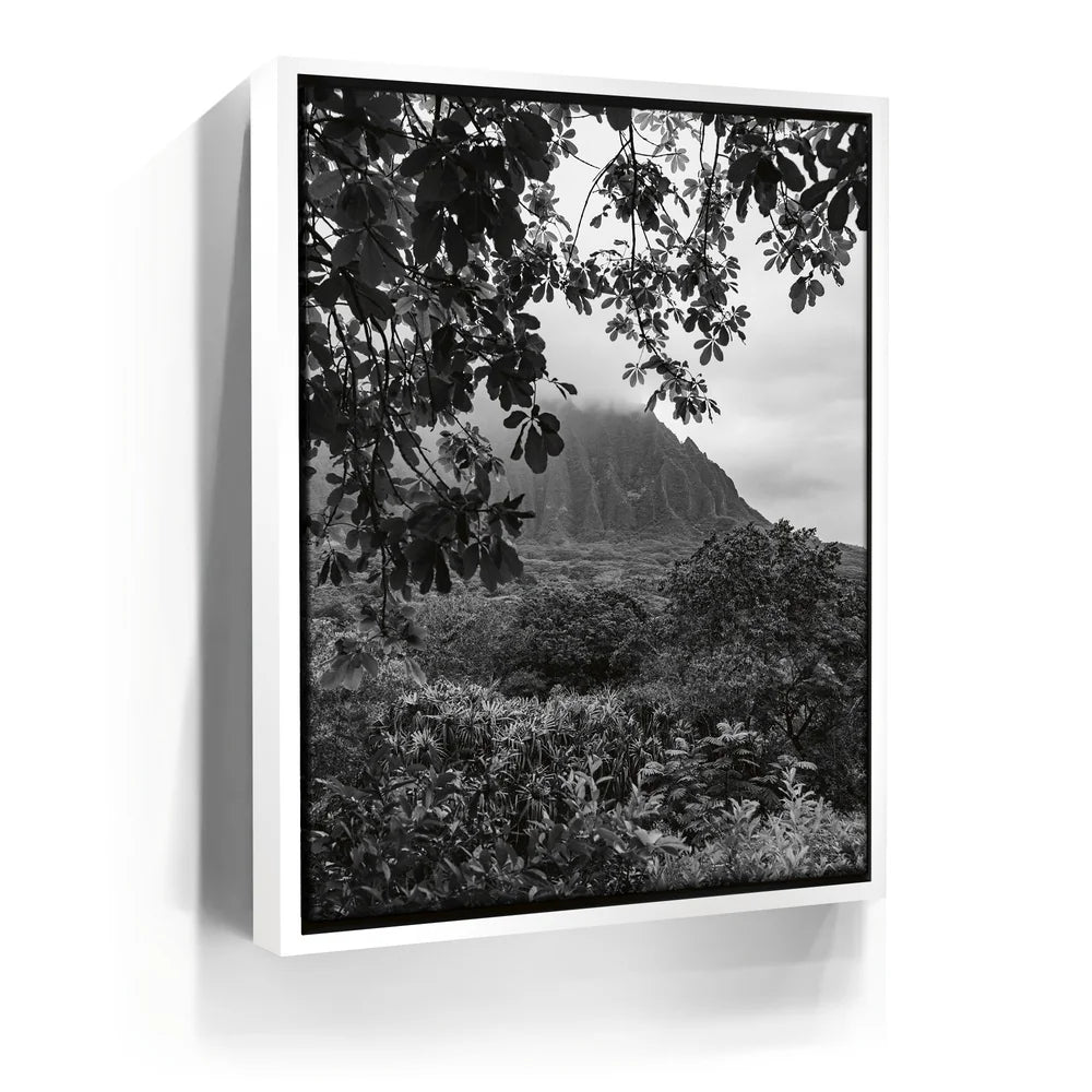 Featured image 6 for When The Leaves Touch The Mountains - Oahu, HI