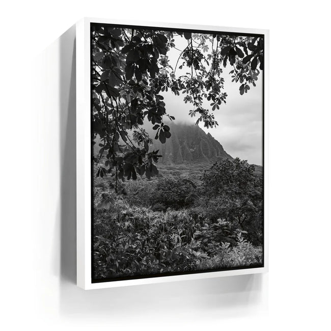 Featured image 6 for When The Leaves Touch The Mountains - Oahu, HI
