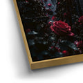 Thumbnail image 13 for When Angels Mourn