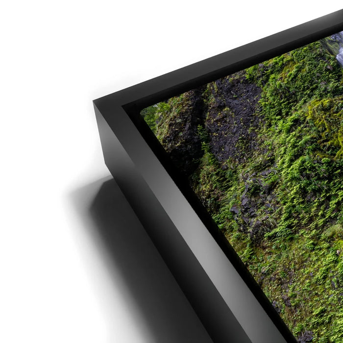 Featured image 11 for Whisper