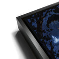 Thumbnail image 12 for Whispers, Wings and Whiskers
