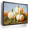 Featured image 5 for White Pumpkin Stack