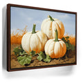 Featured image 10 for White Pumpkin Stack