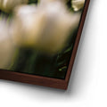 Thumbnail image 14 for White Tulip Dream