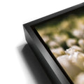 Thumbnail image 11 for White Tulip Dream