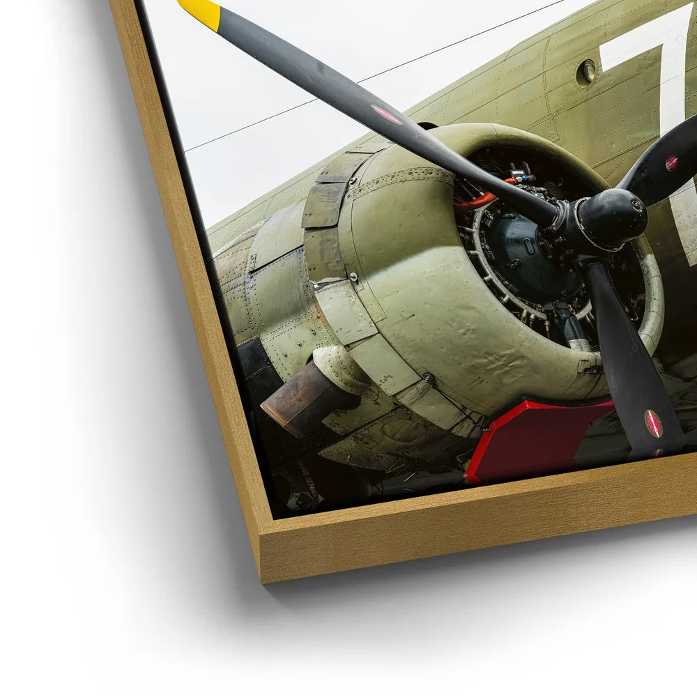 Featured image 12 for Wild Kat C-49