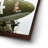 Thumbnail image 14 for Wild Kat C-49