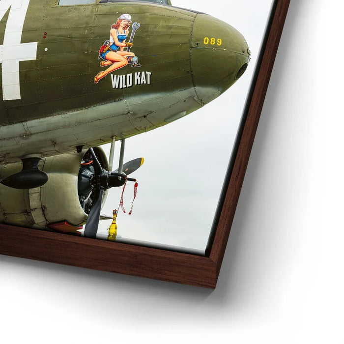 Featured image 14 for Wild Kat C-49