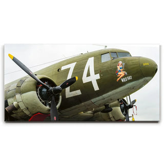 Wild Kat C-49