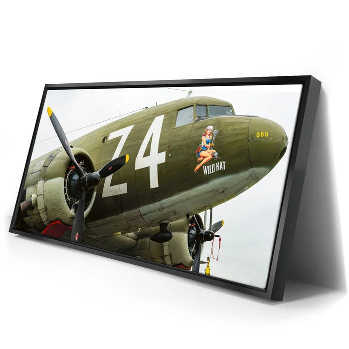 Featured image 2 for Wild Kat C-49