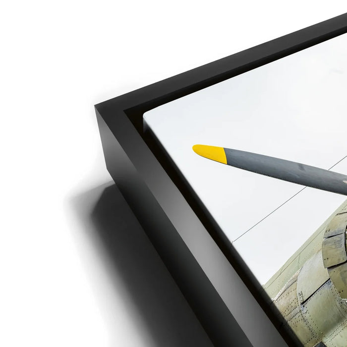 Featured image 11 for Wild Kat C-49