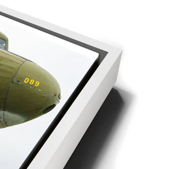 Featured image 13 for Wild Kat C-49