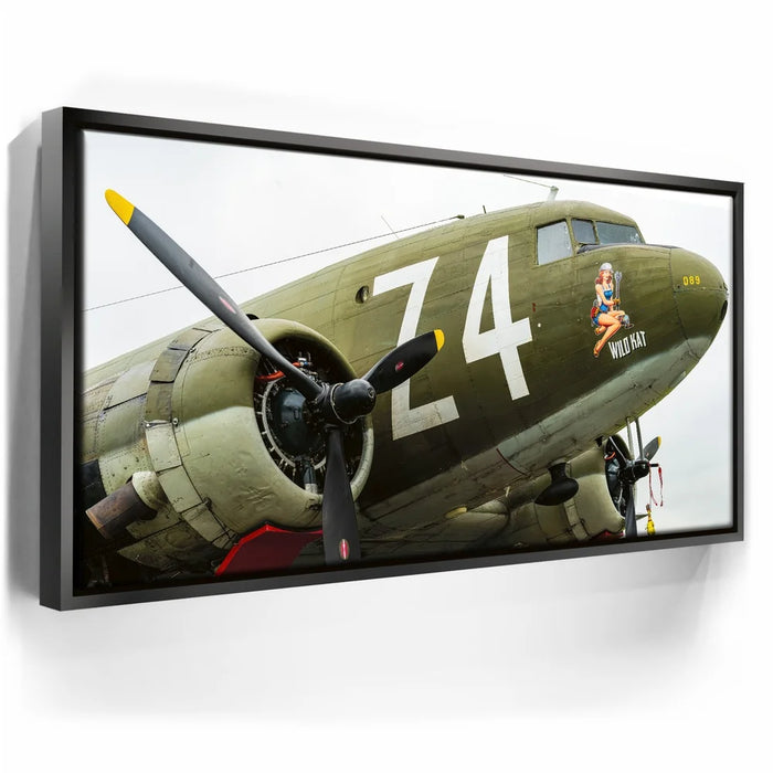 Featured image 5 for Wild Kat C-49