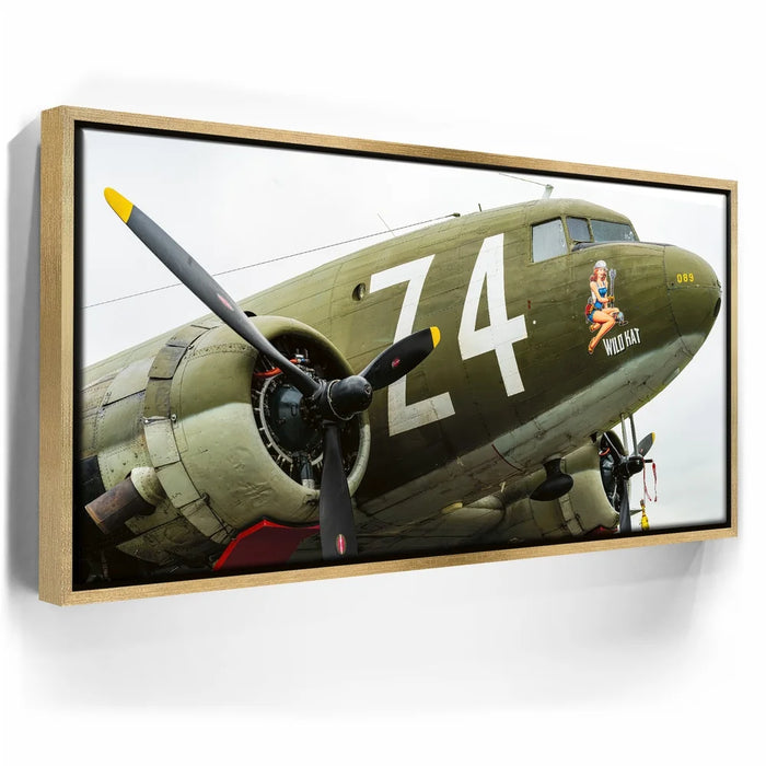 Featured image 7 for Wild Kat C-49